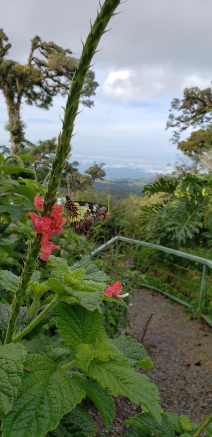 Casa El Granero Monteverde Ngoại thất bức ảnh